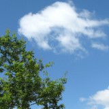 0906G 24 Hase-Ems-Tour : haseems